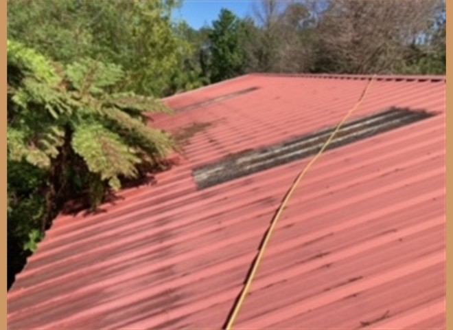 image10