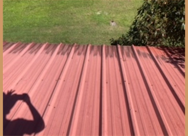 image11